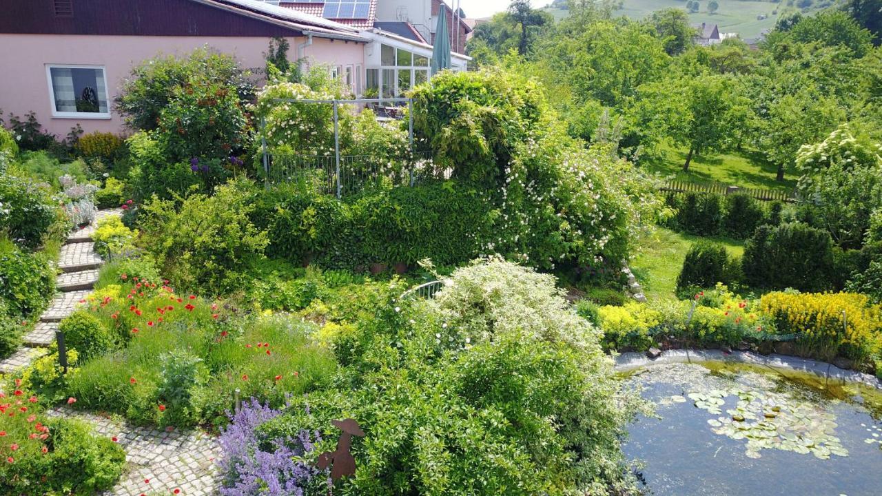 Gasthaus Winkelvoss 艾恩贝克 外观 照片